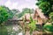 Old huts and piles of straw and wood where they dwelled fishermen