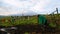 Old Indigenous woman digging the earth with her hoe near the volcano Chimborazo