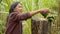 Old indigenous woman playing with parrots in the jungle