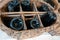 Old industrial wicker basket for carrying champagne bottles