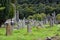 Old Ireland cemetery and graves in Glendalough