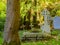 Old Irish cemetery, Ireland