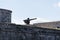 Old iron cannons, front of Faro Castillo del Morro lighthouse