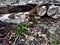 Old Iron-concrete piles lie on the ground