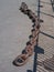 Old iron dock chain still in situ at Canada Water, London, UK.