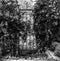 old iron gate in black and white