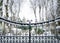 Old iron gates with victorian ironwork locked closed with snowy scene falling and heavy snow settling on metal. Line of trees.