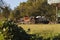 Old jalopy on a trailer in a grassy field