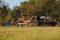Old jalopy on a trailer in a grassy field