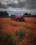 An old jeep now embraced by a sea of poppies Abandoned landscape. AI generation