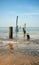 Old jetty pillars in sea