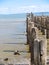 Old jetty posts in shallow muddy harbour