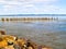 Old jetty posts in shallow muddy harbour