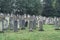 Old Jewish cemetery builded between 18. and 19. century in Slovakia, Bardejov city