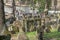 Old Jewish cemetery in Josefov, Prague, Czech Republic