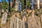 Old Jewish Cemetery in Prague