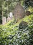 Old jewish cemetery in Trebic, Czech