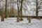 Old jewish cemetery in winter, Czech republic