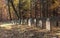 Old Jewish Graveyard in a Forest