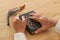 Old Jewish man hands holding a Prayer book, praying, next to shofar horn. Jewish traditional symbols. Rosh hashanah jewish New