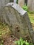 Old Jewish tombstone with snails, Pacov, Czech Republic