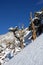 Old Juniper Tree On Snowy Mountain Side