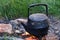 An old kettle stands on a fire in nature