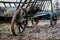 Old ladder car on the yard in a farm yard. Wooden cart with wood