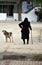 Old lady accompanied by dog at a Greek village