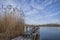 Old Lake Boardwalk