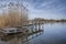 Old Lake Boardwalk