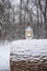 Old lantern glowing in snowy winter woods