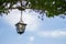 Old lantern on the tree. Green natural arch with old metal street lamp. Retro fashioned lamp in park. Outdoor illumination concept