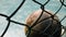 Old leather basketball behind the wire fence