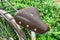 Old Leather Bicycle Saddle