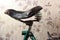 Old leather bicycle saddle against the background of old wallpaper in the apartment.