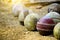 Old leather cricket balls on sand