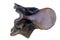 Old leather Jumping saddle