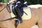 Old leather saddle with stirrups for show jumping race