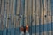 Old Light wooden board with well visible structure of wood and with standing on her legs male orange bootscovered with frost