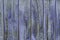 Old lilac or purple wooden fence wood texture