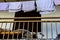 Old lilac towels hang on the balcony. A dog on the balcony