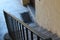 Old limestone stairs in the very old house