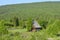 Old little alone house among green sea