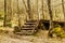 Old log bridge and oak grove in spring. El Tejedelo Forest. Requejo from Sanabria. Zamora. Spain.