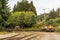 Old logging railway tracks with a caboose and train