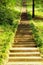 Old long stone mossy staircase in green forest