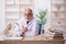 Old male paleontologist examining ancient animals at lab