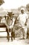 An old man with beard and turban with a bullock cart in punjab village.