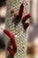 Old Man cacti Cephalocereus senilis with blooming red flowers